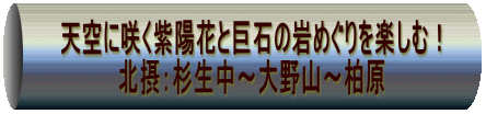 　天空に咲く紫陽花と巨石の岩めぐりを楽しむ！ 　　　　　北摂：杉生中～大野山～柏原