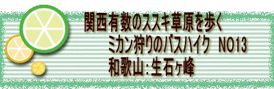 　　　　　　　　関西有数のススキ草原を歩く　　 　　　　　　　　　　　ミカン狩りのバスハイク　NO13　 　　　　　　　　　　　和歌山：生石ヶ峰