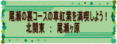 　尾瀬の裏コースの草紅葉を満喫しよう！！ 　　　　　北関東　：　尾瀬ヶ原