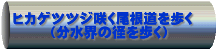  ヒカゲツツジ咲く尾根道を歩く 　　　（分水界の径を歩く）　　　